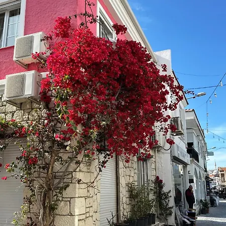 Viyana Pansiyon Hotel Cesme
