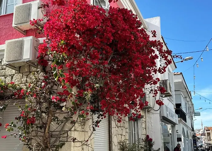 Viyana Hotel Çeşme